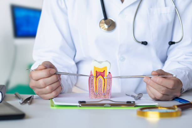 Best Weekend Emergency Dentist in Pearl Beach, MI